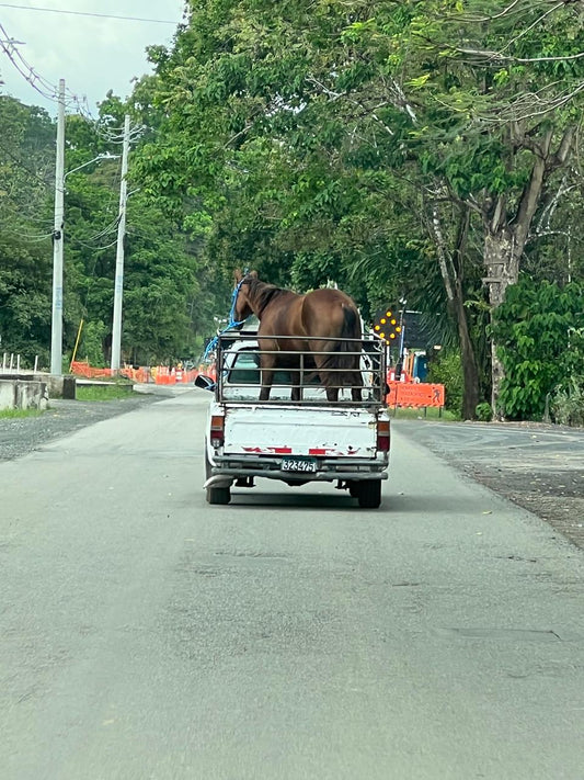 Comment obtenir votre permis de conduire panaméen (en tant que Français)